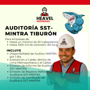 Auditoría SST MINTRA - TIBURÓN