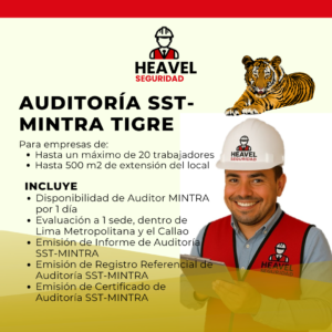Auditoría SST MINTRA - TIGRE