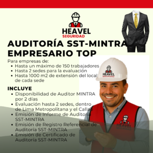 Auditoría SST MINTRA - EMPRESARIO TOP